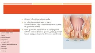 Abscesos Fistulas Perianales Y Quiste Pilonidal Ppt