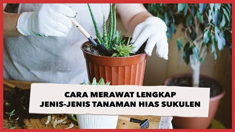 detail gambar tanaman lengkap  tidak lengkap koleksi nomer