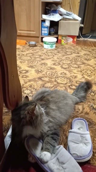 Зай, ты обиделась? - YouTube