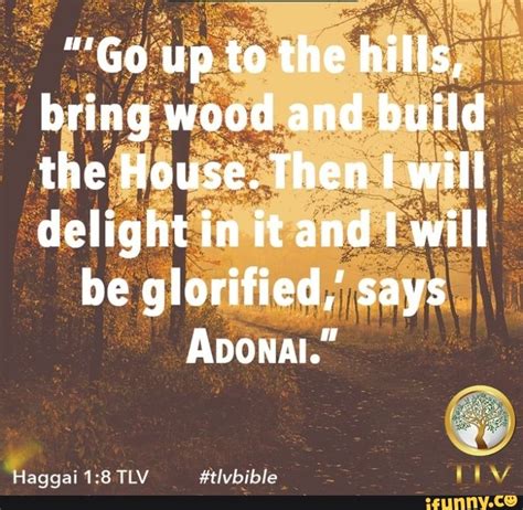 Go Up To The Hills Bring Wood And Build The House Then Will Delight