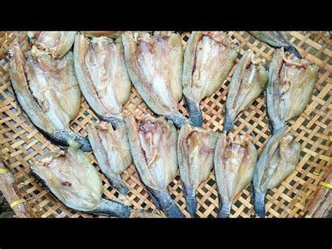 CARA MEMBUAT IKAN ASIN MUDAH DARI MENTAH HINGGA DIGORENG YouTube Fish