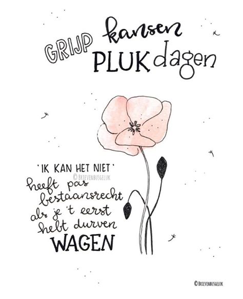 Brievenbusgeluk Op Instagram Nieuw In De Webshop • Grijp Kansen • ©️ Deze Kaart Heb Ik Ook