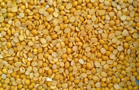 Yellow Organic Toor Dal High In Protein At 98 Kg In Bengaluru ID