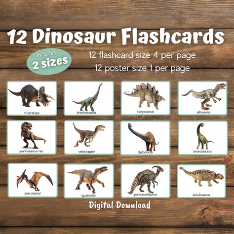 Dinosaur Flashcards, Preschool Activities, Preschool Science ...