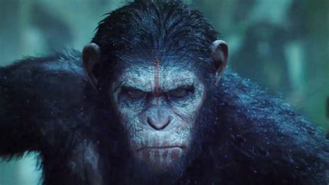 RISE OF THE PLANET OF THE APES 2 - Lerne Sefe