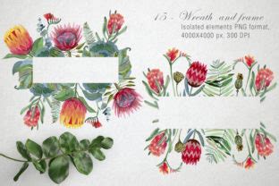 Watercolor Protea Frames And Wreath Graphic By By Anna Sokol Creative