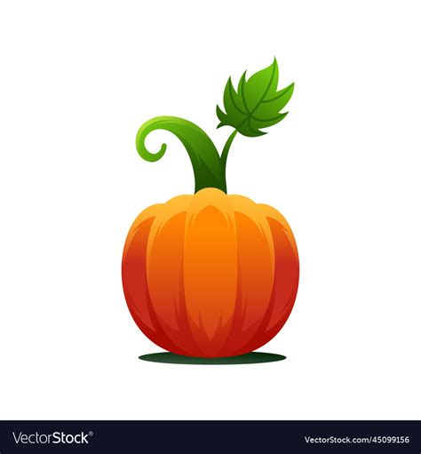 Pumpkin template design Royalty Free Vector Image