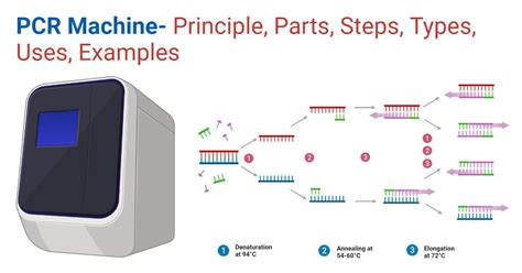 PCR Machine Principle Parts Steps Types Uses