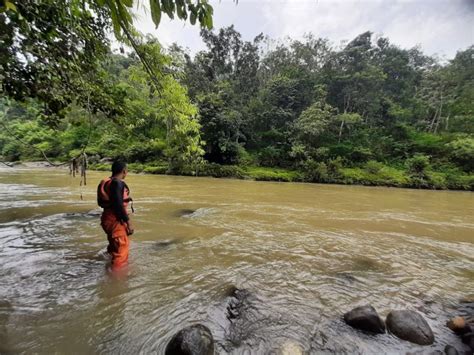 Hari Kedua Pencarian Pemancing Yang Hilang Terbawa Arus Sungai