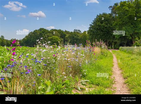 Agricultura inclusiva con la naturaleza fotografías e imágenes de alta