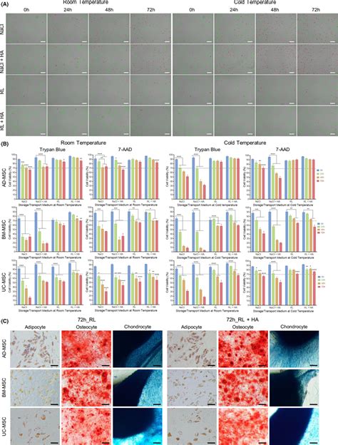 Cell Viability Assessment Of Mscs From Perinatal And Adult Sources Download Scientific Diagram