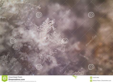 Snowflake close up stock image. Image of blizzard, detail - 106761985