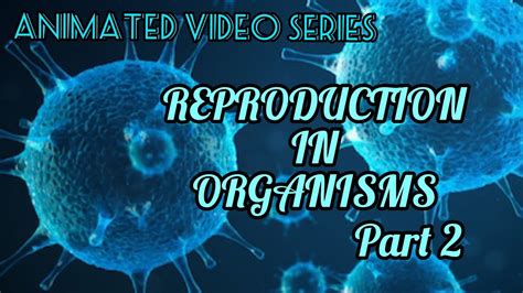 Reproduction In Organisms For Class 12 Chapter 1 Biology Notes Riset