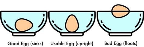 Egg recipes (a Cookipedia Wiki category page)