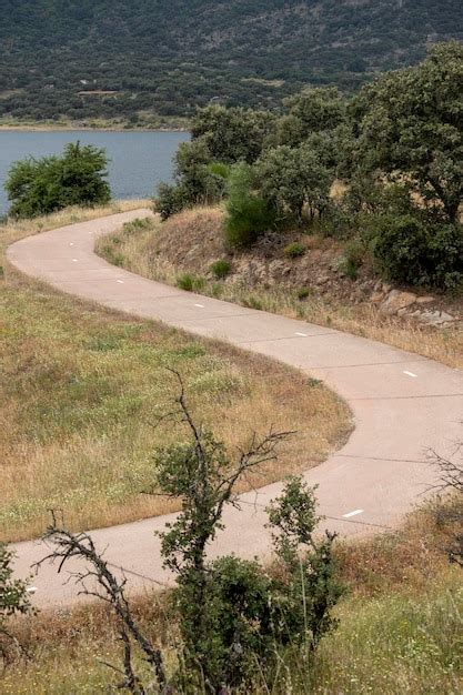 Un camino largo y sinuoso en el campo que cruza el prado con árboles