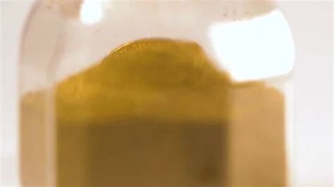 Sandi Webe Model Stock Footage ~ Royalty Free Stock Videos | Pond5