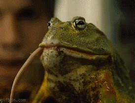 Toad GIF - Find & Share on GIPHY