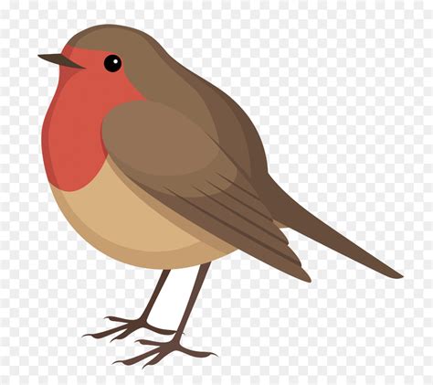 robin bird clipart 10 free Cliparts | Download images on Clipground 2024