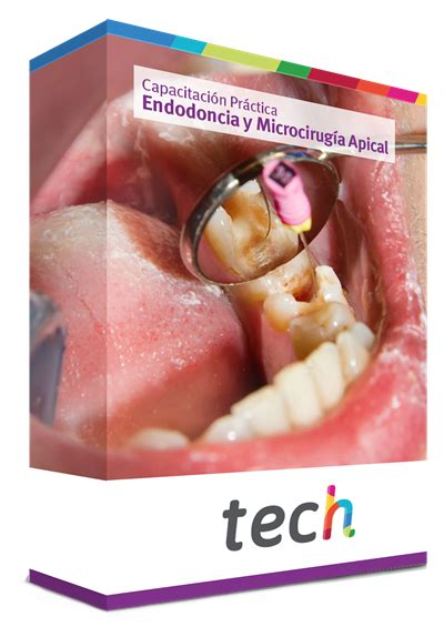 Capacitaci N Pr Ctica En Endodoncia Y Microcirug A Apical Tech Puerto