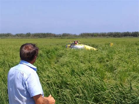 El Piloto De Un Helic Ptero Resulta Ileso Tras Estrellarse Cuando