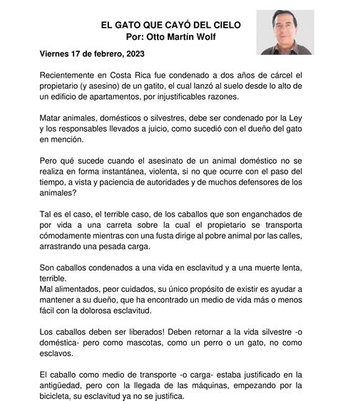 Libro El Gato Que Venia Del Cielo 8