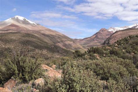 Sajama National Park