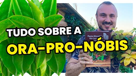 Tudo sobre a ORA PRO NÓBIS Aprenda cultivar YouTube