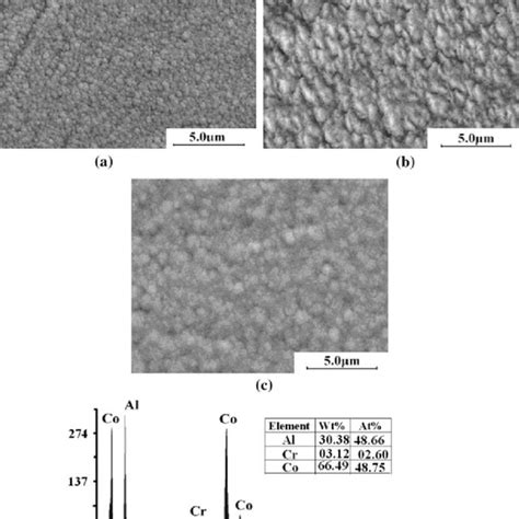 A C FE SEM Cross Section Micrographs With EDS Of Corroded Cr Co Al