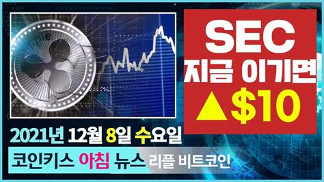 리플 비트코인 이더리움 Sec 소송에서 리플 승리시 비트코인과 Xrp만 세상에 남을 것 Youtube