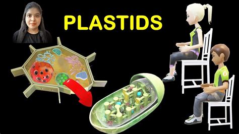 Cell Organelles Plastids The Fundamental Unit Of Life Class 9