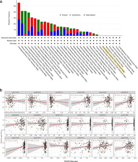 Genetic And Epigenetic Alterations Of Tnfaip2 In Aml Patients From Tcga