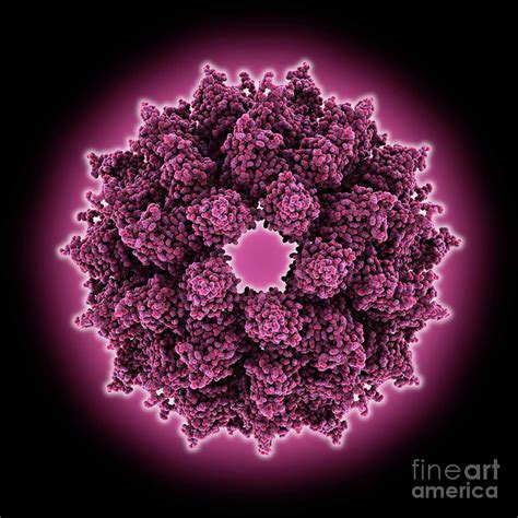 Alfalfa Mosaic Virus Capsid Photograph By Laguna Design Science Photo