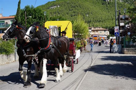 La Grande Cavalcade De La Saint Eloi Cuges Les Pins Cuges