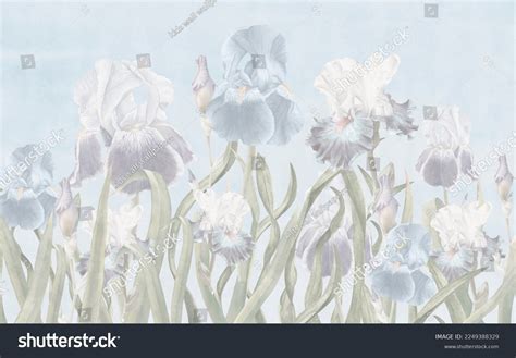 30,589 Wallpaper Irises Images, Stock Photos & Vectors | Shutterstock