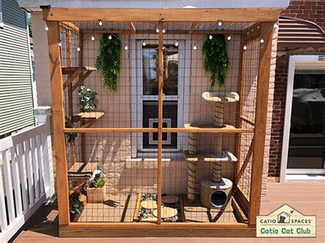 Balcony Catio R Catio Edu Svet Gob Gt