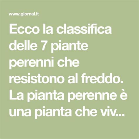 Ecco La Classifica Delle 7 Piante Perenni Che Resistono Al Freddo La