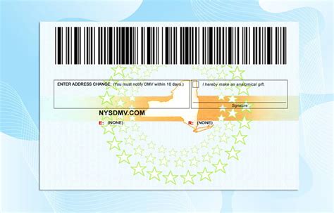 New York Drivers License Template Psd Photoshop File