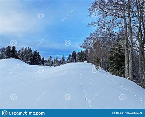 Picturesque Winter Alpine Landscape with Alpine Peaks, Hills, Forests ...