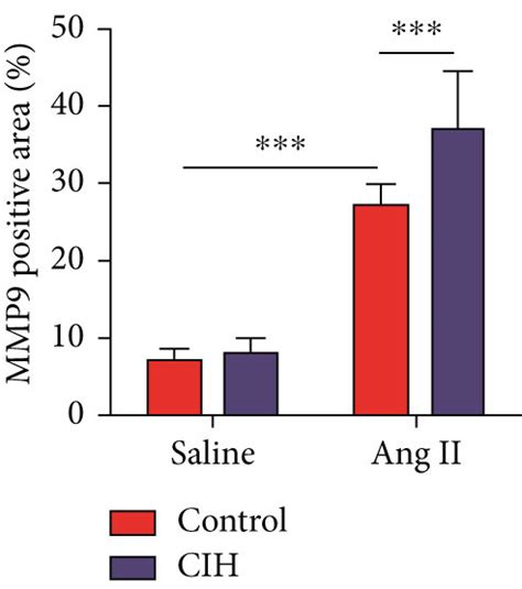 Cih Upregulates Aaa Related Expression Of Mmp Protein In Vivo An