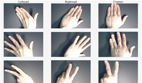 Nine Types of Hand Gestures. | Download Scientific Diagram