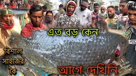 আড়িয়াল বিলের বিলুপ্ত প্রজাতির বড় বড় কৈ মাছ শোল মাছ সব একসাথে বিক্রি