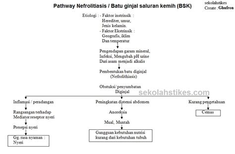 patofisiologi  pathway nefrolitiasis  batu ginjal jadi perawat