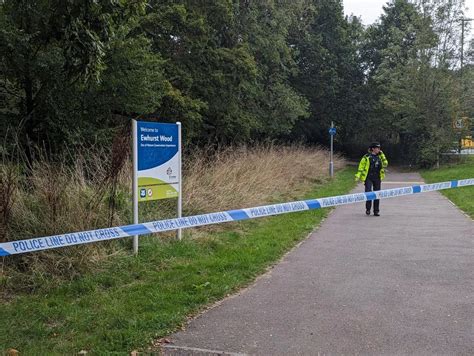 Photos show scene in Crawley after bags of suspected remains found ...