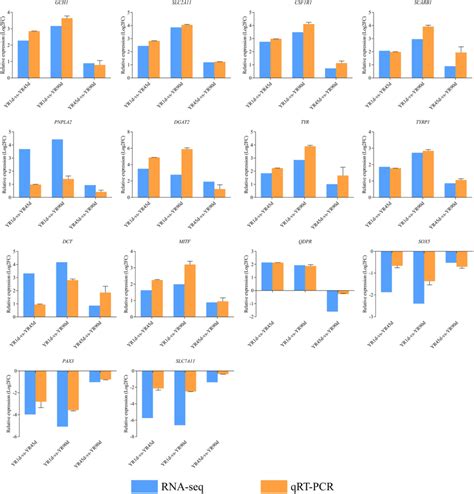 Validation Of Degs By Qrt Pcr The Green Columns Indicate The Results