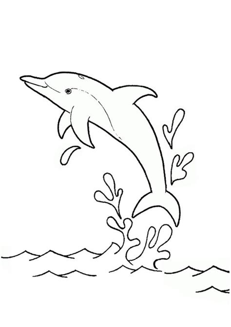 Coloring Pages | Dolphin Jumping in Water Coloring Pages