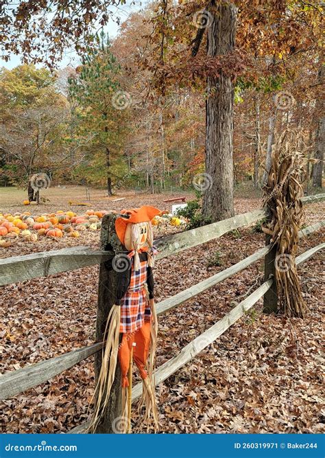 Halloween Pumpkins and Decorations on Fence Stock Image - Image of corn ...