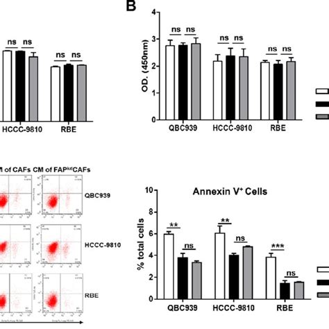 Fibroblastic Fap Does Not Directly Promote Icc Cells Proliferation And