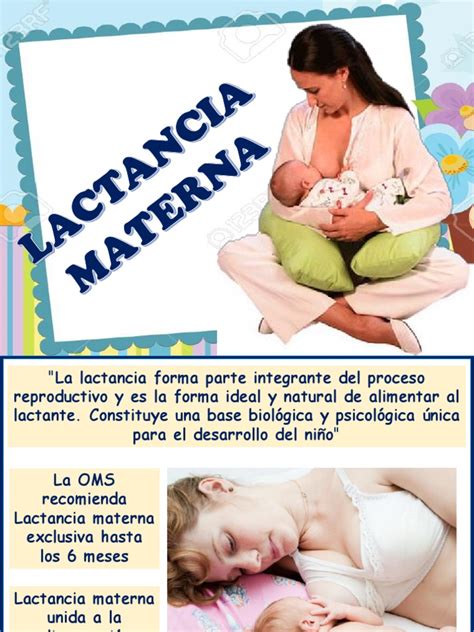 Rotafolio Lactancia Materna Pdf