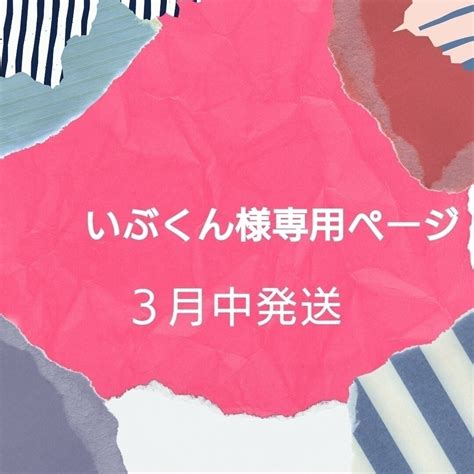 いぶくん様専用ページの通販 By にこ S Shop｜ラクマ