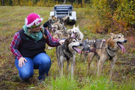 Anchorage Dogsledding Day Tour | Anchorage Adventures